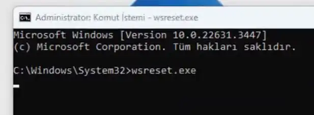 Wsresetexe Microsoft Store Uygulama Indirme Sorunu